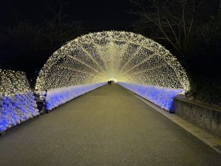 走進夢幻世界——長島花卉園燈飾秀！