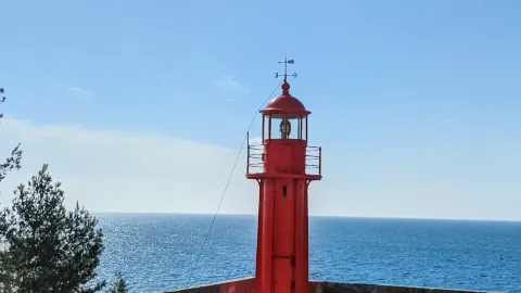 포르투갈 세짐브라: 완벽한 주말 여행 일정! — traveler post in Castelo