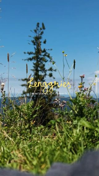 Come spend a day at Brauneck exploring nature with me! 🥰 