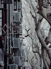 Shanghai French Concession🌇