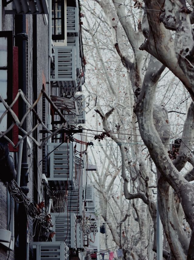 Shanghai French Concession🌇