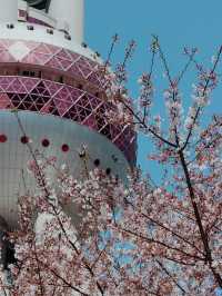 Shanghai in Bloom - Oriental Pearl Tower🌷🌸