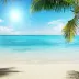 Emma Davis