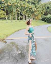 Hawaii | Professional guide for taking photos and checking in Hawaii