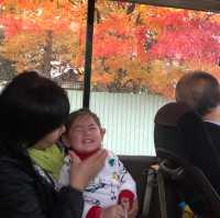 🇯🇵北海道.帶廣市.下一站幸福💕【幸福車站】