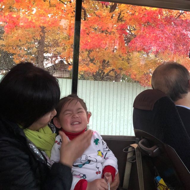 🇯🇵北海道.帶廣市.下一站幸福💕【幸福車站】