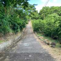 A little tour around Grenada 