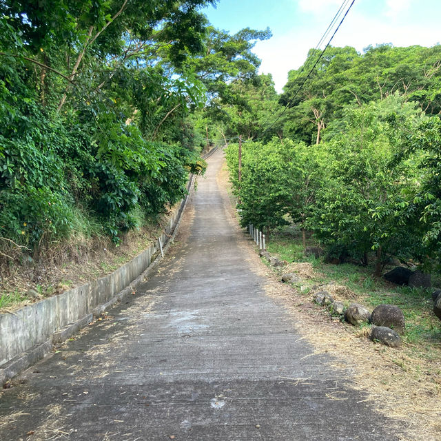 A little tour around Grenada 