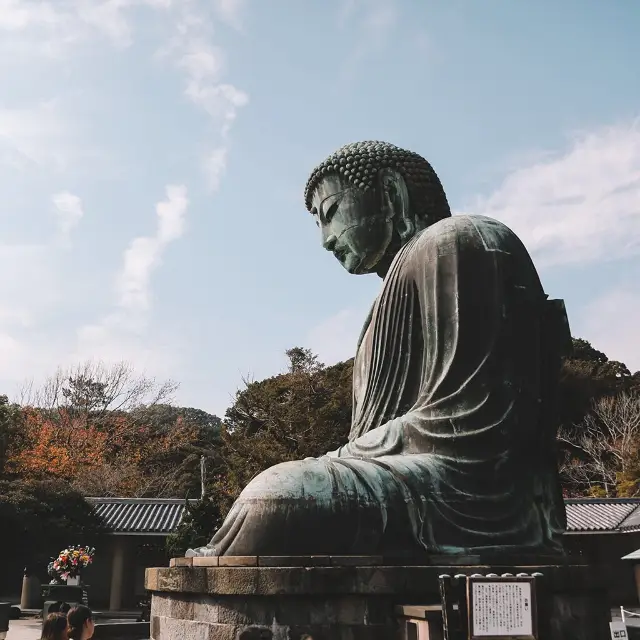 遊鎌倉🇯🇵高德院｜鎌倉大佛