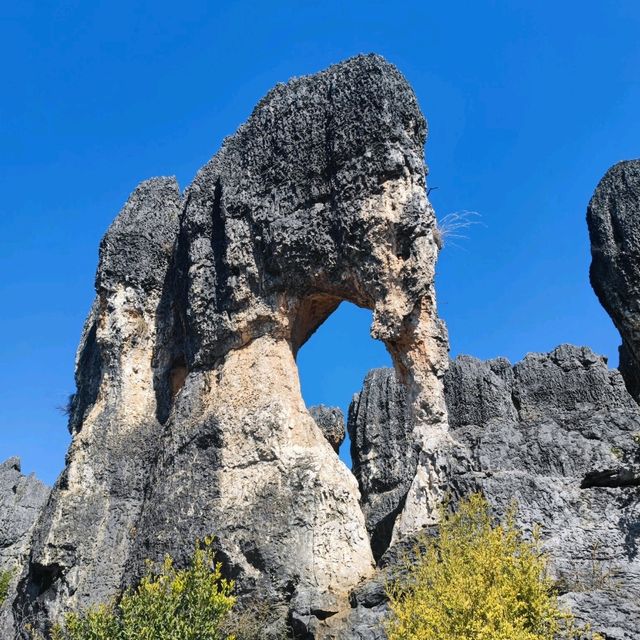 The Stone Forest | Kunming 