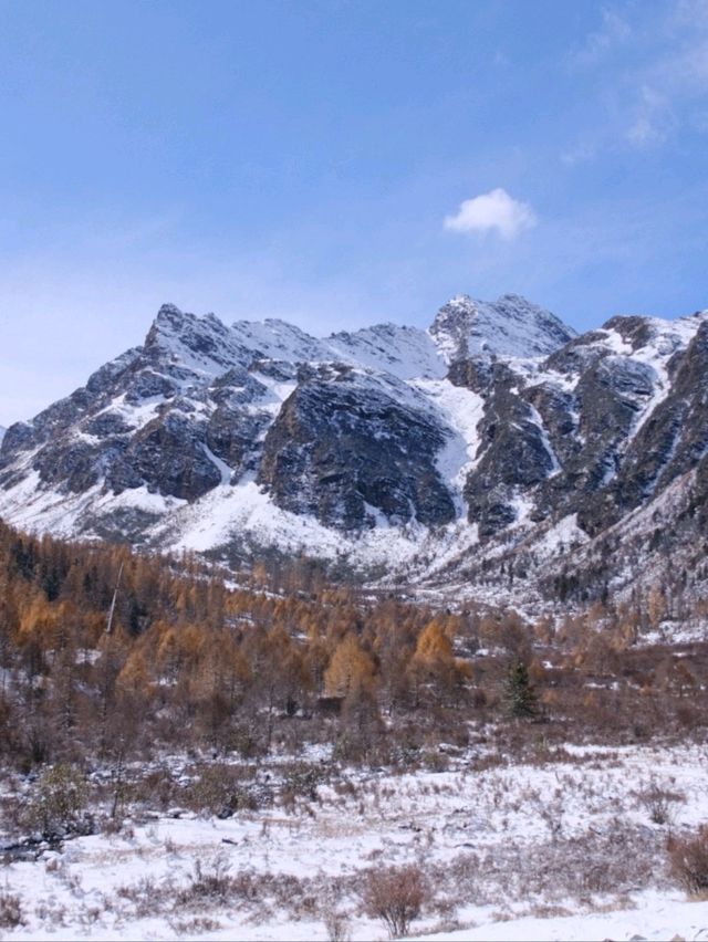 Autumn's First Snow In Xuema Valley