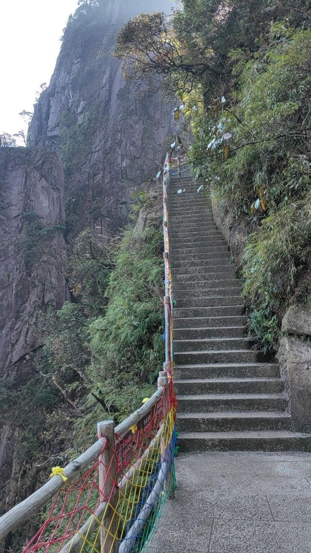 這不是北方，是南方寶寶的賞雪寶地/莽山五指峰