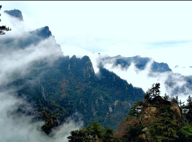 河南老界嶺/萬畝彩林太震撼了，一定要來感受這裡的秋色大餐！