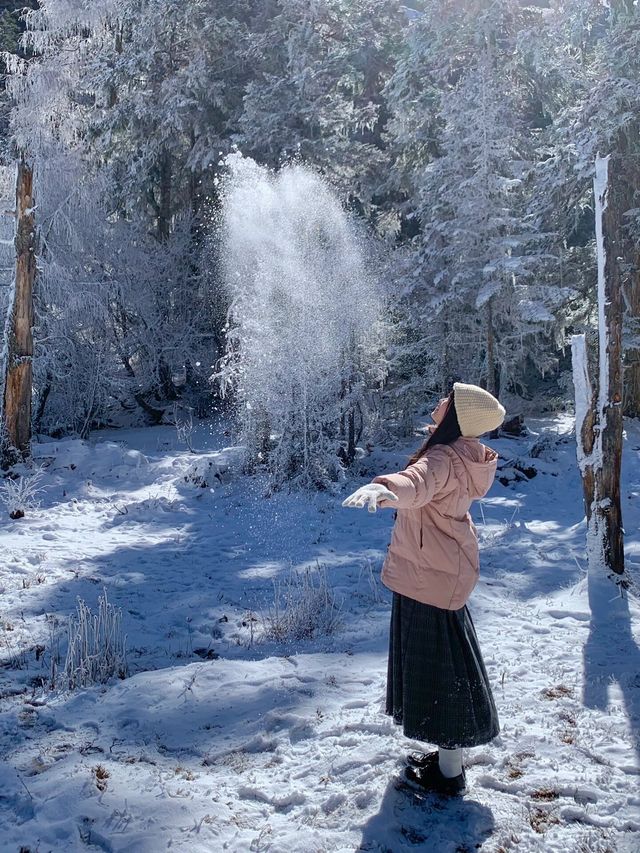 拜託冬天一定要玩雪啊！（攻略附上）