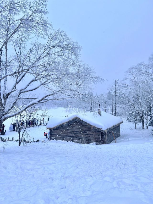 長白山雪嶺闖入童話世界看麋鹿live圖