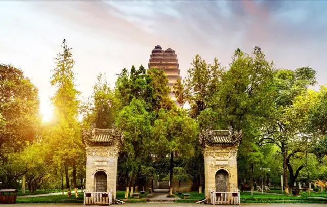 Another 'Big Wild Goose Pagoda' in Xi'an, not only has a thousand-year-old ancient pagoda, but also the Xi'an Museum!