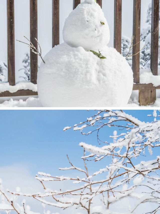 成都周邊遊|抓住冬日的尾巴，去看場雪吧