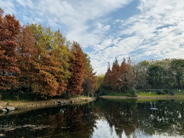 Minhang Sports Park—It's the perfect time for winter outings