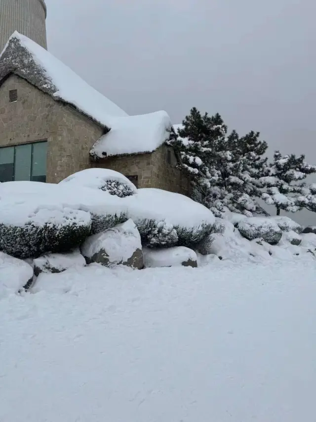 Snowy Weihai | A winter fairy tale in silver attire