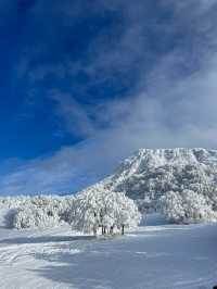 秘境藏王山：探尋複雜路線中的絕美之旅！