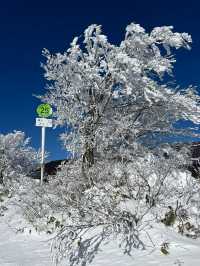 秘境藏王山：探尋複雜路線中的絕美之旅！