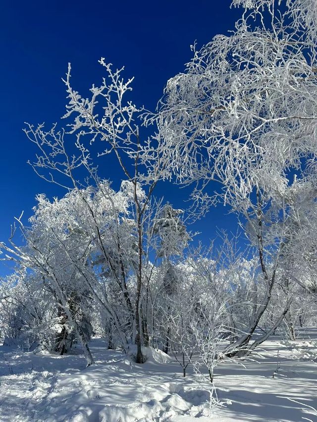 雪谷民宿 ｜狠狠鎖住他們家！在東北絕對找不出第二家！！