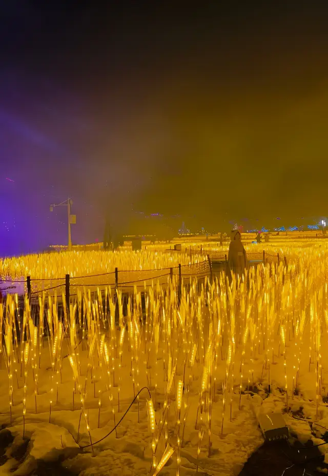 So beautiful, taking the kid to the World Garden Lantern Art Festival, attached with the tour route