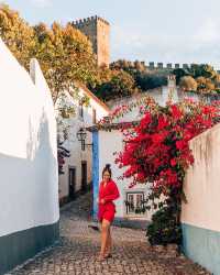 🌺🇵🇹 Bougainvillea Beauty: A Picturesque Palette in the Heart of Portugal! 📸🌿