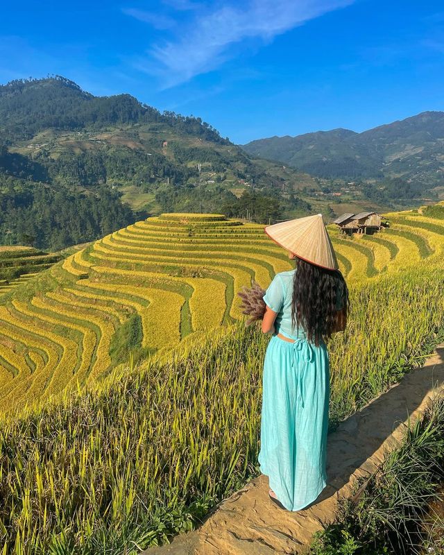 Mu Cang Chai: A Golden Tapestry Unveiled in Northern Vietnam