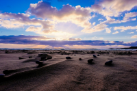 Sample whisky at the stunning Isle of Islay