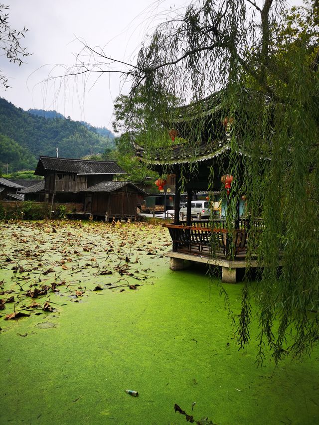 10月12日早上吃完了本地特色早餐就出發了，一路上漸漸有了秋天的顏色，還有一些晚稻金黃黃的，道路的兩