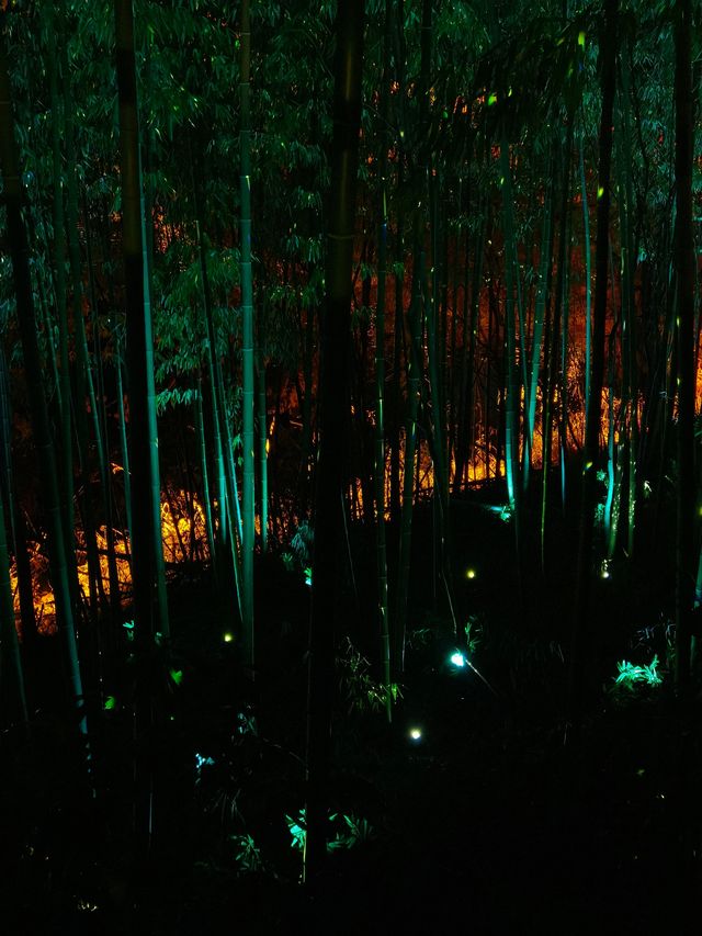 千島湖光影沉浸式夜遊夜色浪漫