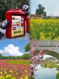 成都 天府芙蓉園 ｜去有風的地方，成都的後花園
