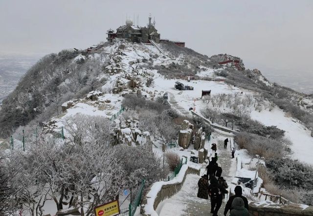 泰山覆雪 美如水墨畫