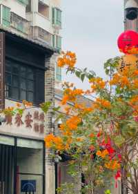 龍華觀瀾古墟,假期帶家人0元打卡深圳客家文化古鎮
