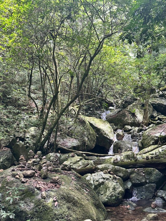 海南五指山熱帶雨林愛麗絲夢遊仙境