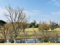 感受春天 - 閔行體育公園的早春梅花