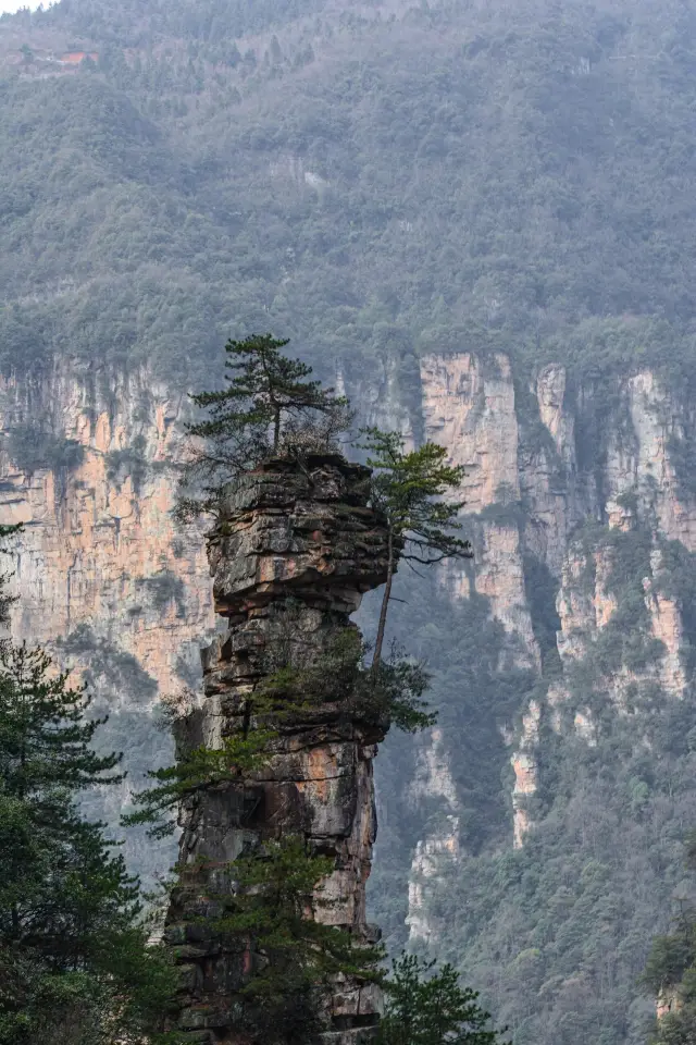 You know nothing about the attractions in Zhangjiajie