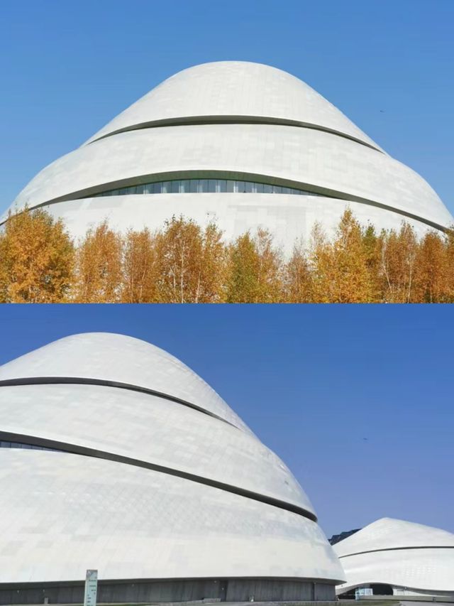 （濕地公園，大劇院）