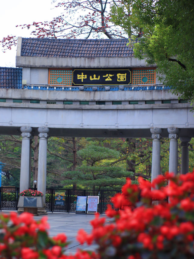 佛山｜中山公園｜嚴重被低估的小眾寶藏公園