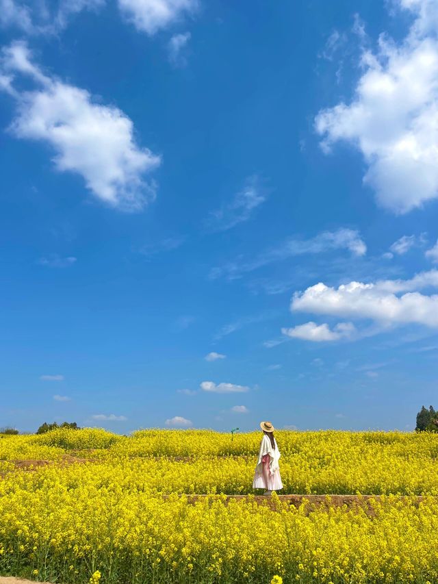探索成都之美：成都雙流廣都博物館春日賞花之旅
