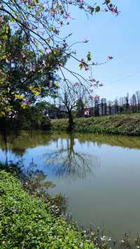 南國私家小莊園——接霞莊