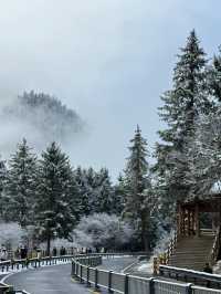 四川九寨溝｜誰懂？下雪的九寨溝是長成這樣的