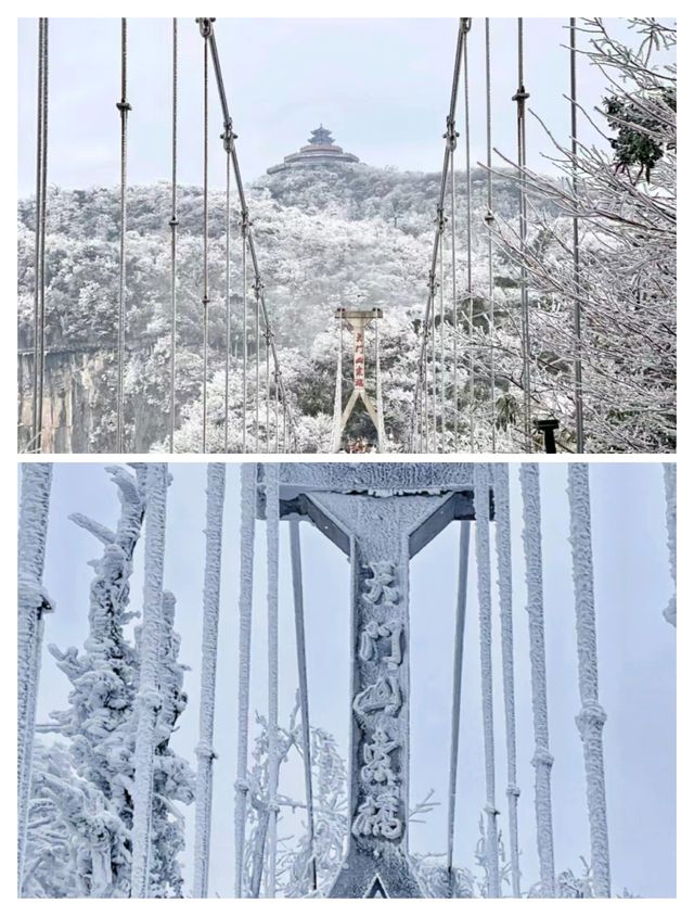 장자제 여행 인사이트를 공유해주세요😊