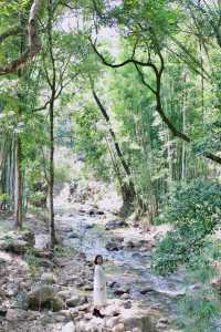 挖到廣州氧氣秘境森林徒步露營溯溪度假好去處