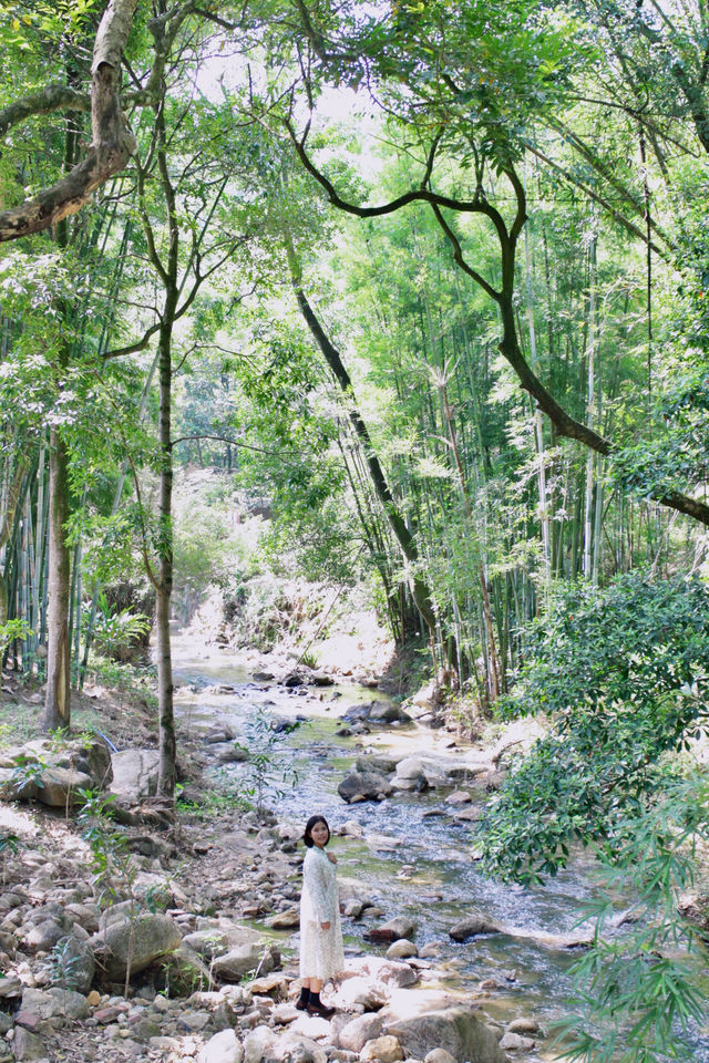 挖到廣州氧氣秘境森林徒步露營溯溪度假好去處