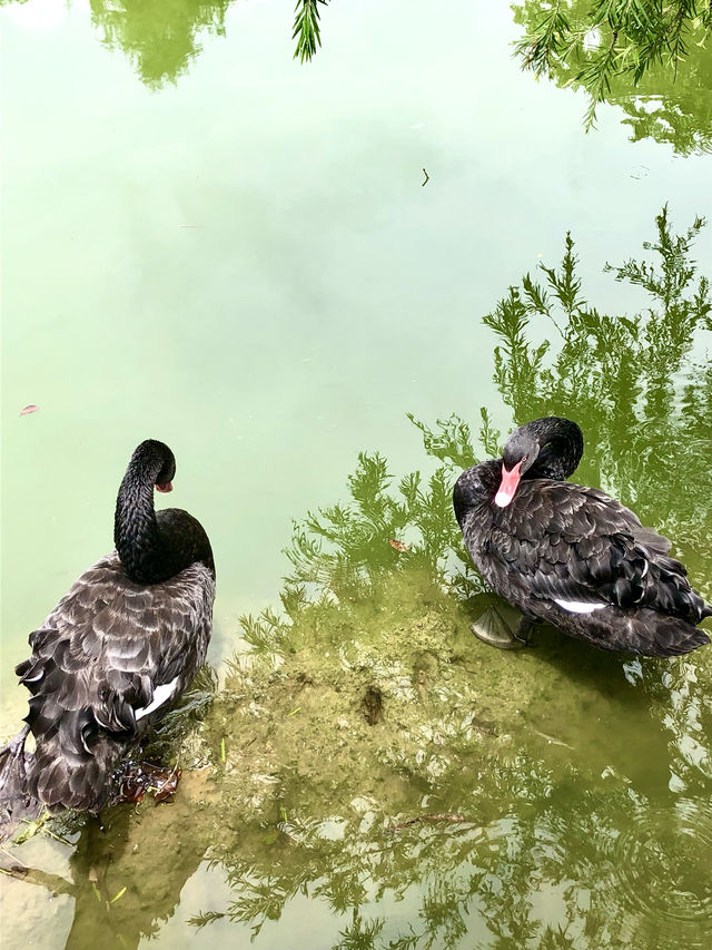 筆架山公園