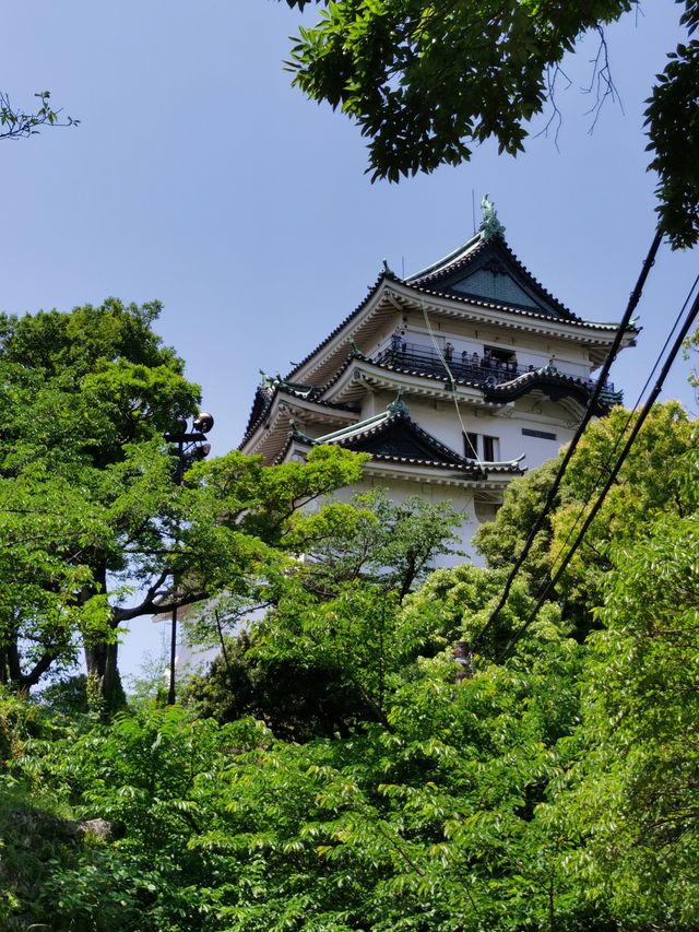 和歌山，你也太可愛了！！！