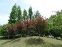 鮮花山谷——登高雲山·雲谷花境
