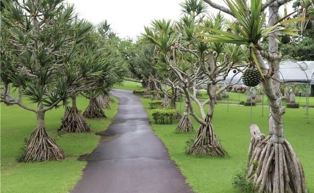 沖繩東南植物樂園